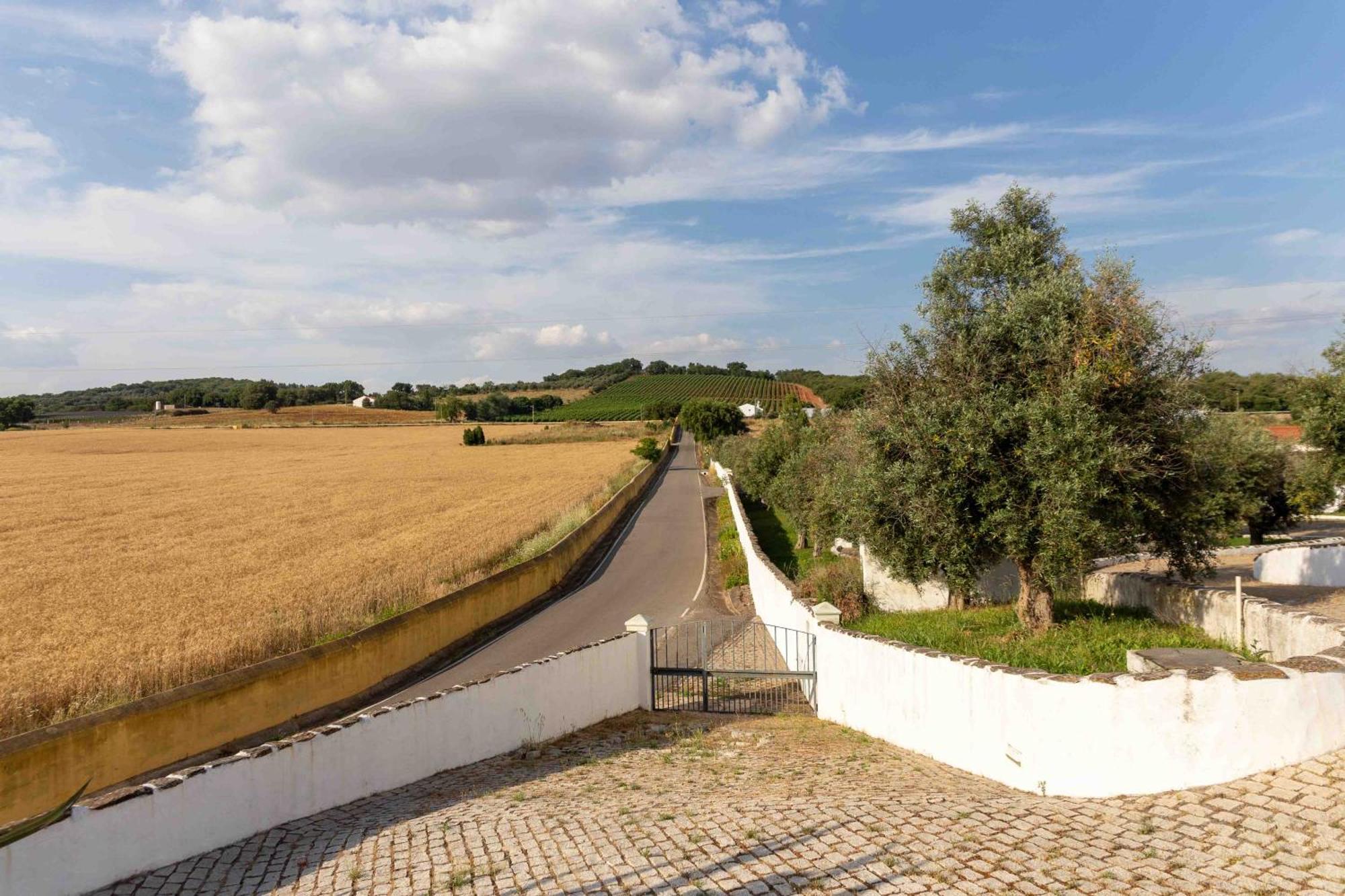 Monte Das Oliveiras - Casas De Campo Estremoz Exteriér fotografie